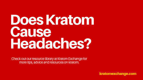 Does Kratom Cause Headaches - Kratom Exchange