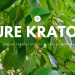 Pure Kratom - Kratom Exchange